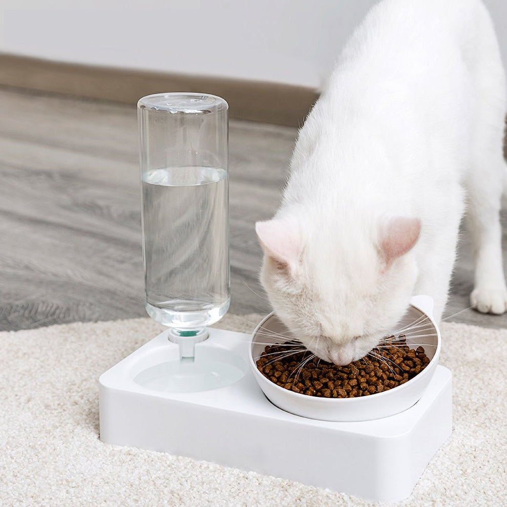 "Cat Food and Water Dispenser with Cat-Shaped Bowl"
