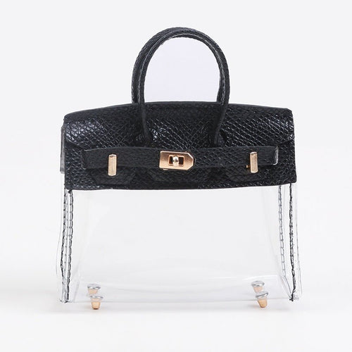 "Mini Transparent Handbag Key Holder Case – Stylish Storage for Car Keys & AirPods"